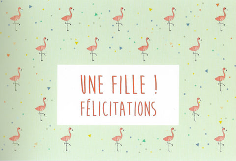Carte postale - Naissance - HN28