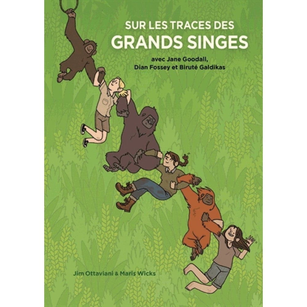 Sur les traces des grands singes