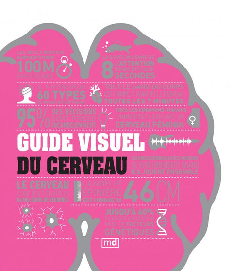 Guide visuel du cerveau