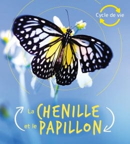 Cycle de vie - La chenille et le papillon